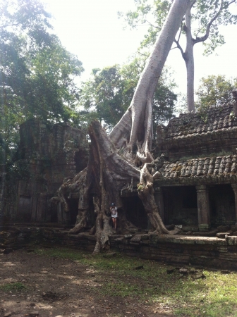 Zdjecie - Kambodża - Siem Reap