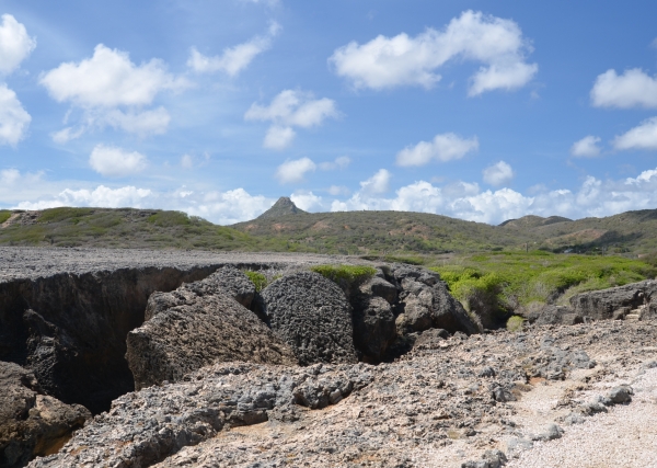 Zdjęcie z Curacao - 