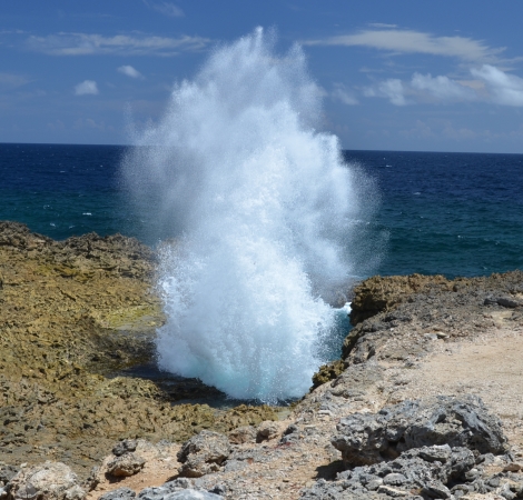 Zdjęcie z Curacao - 