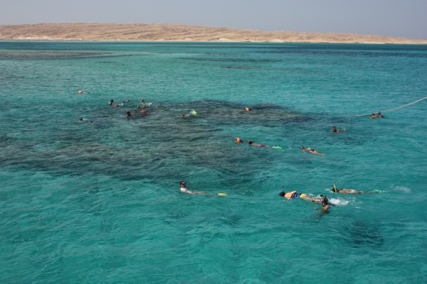 Zdjęcie z Egiptu - snorkeling