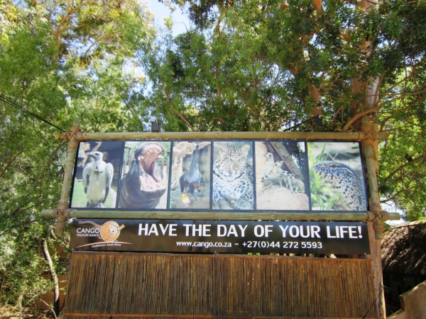 Zdjęcie z Republiki Półudniowej Afryki - Cango Wildlife Ranch