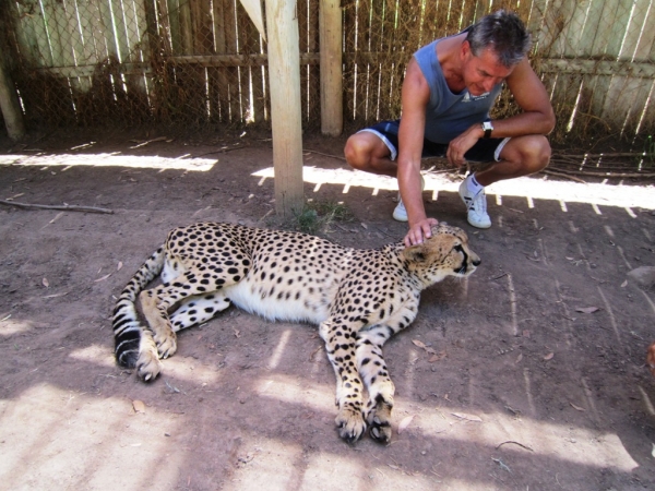 Zdjęcie z Republiki Półudniowej Afryki - Cango Wildlife Ranch