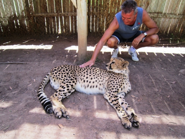 Zdjęcie z Republiki Półudniowej Afryki - Cango Wildlife Ranch