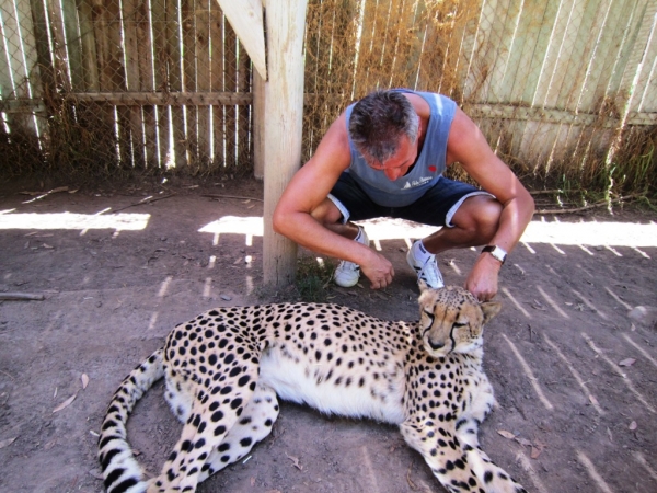 Zdjęcie z Republiki Półudniowej Afryki - Cango Wildlife Ranch