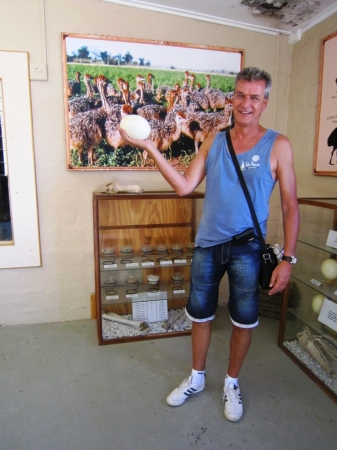 Zdjęcie z Republiki Półudniowej Afryki - Ostrich Show Farms Oudtshoorn