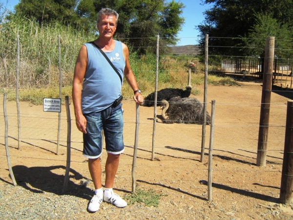 Zdjęcie z Republiki Półudniowej Afryki - Ostrich Show Farms Oudtshoorn