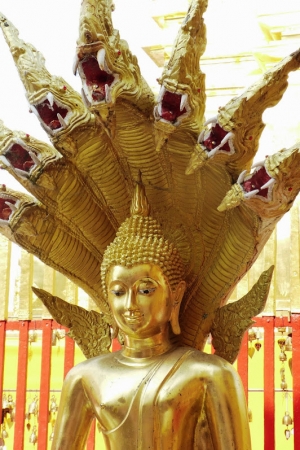 Zdjęcie z Tajlandii - Wat Doi Suthep