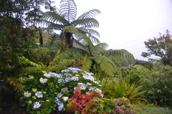 Zdjęcie z Nowej Zelandii - Waitati Gardens