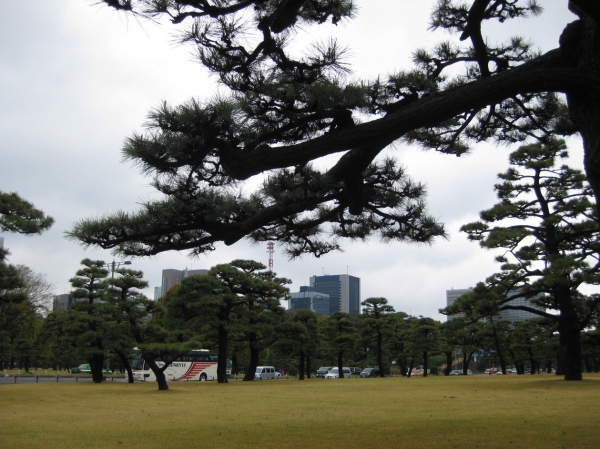 Zdjęcie z Japonii - Tokyo