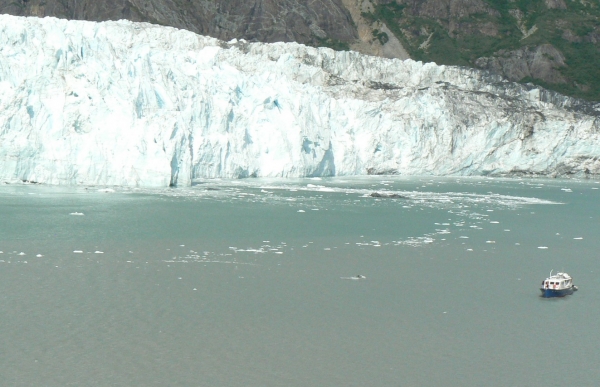 Zdjęcie ze Stanów Zjednoczonych - Margerie Glacier