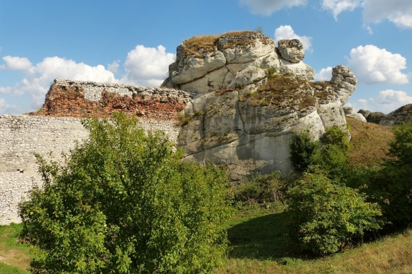 Zdjęcie z Polski - Olsztyn