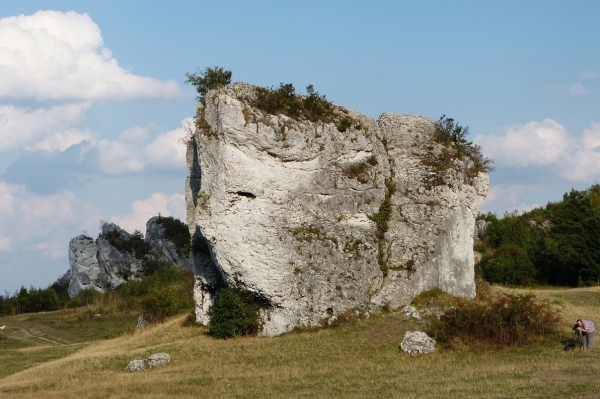 Zdjęcie z Polski - wapienne ostańce przy zamku w Mirowie