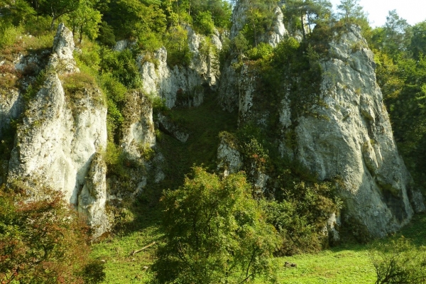 Zdjęcie z Polski - OPN