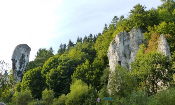 Zdjęcie z Polski - Maczuga Herculesa i zamek w Pieskowej Skale