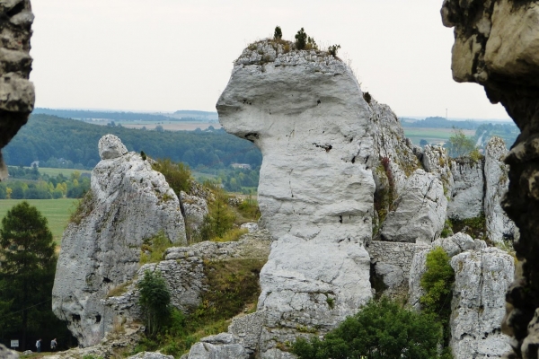 Zdjęcie z Polski - ogrodzienieckie skałki