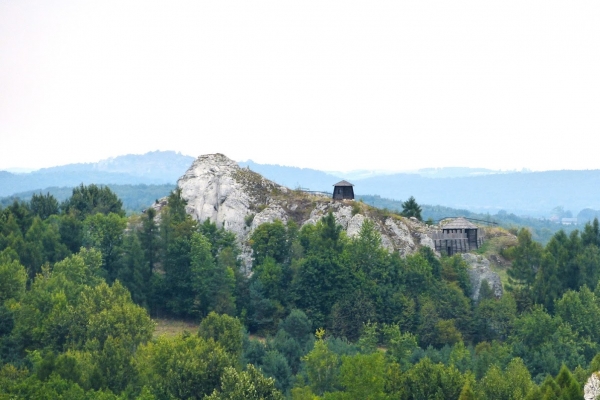 Zdjęcie z Polski - grodzisko na Górze Birów