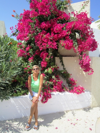 Zdjęcie z Grecji - Kreta - nasz hotel