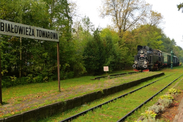 Zdjęcie z Polski - żegnamy się z Białowieżą Towarową