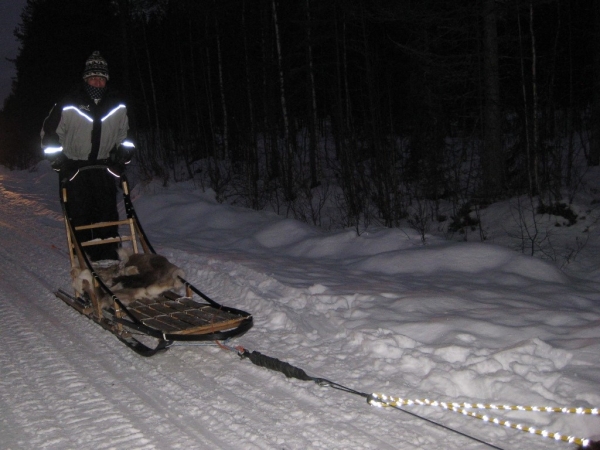 Zdjęcie z Finlandii - Husky-Safari 