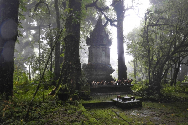 Zdjęcie z Tajlandii - Doi Inthanon - najwyzszy punkt Tajlandii