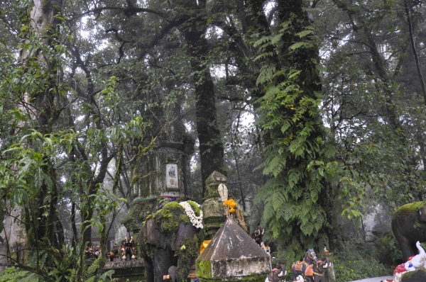 Zdjęcie z Tajlandii - Doi Inthanon - najwyzszy punkt Tajlandii