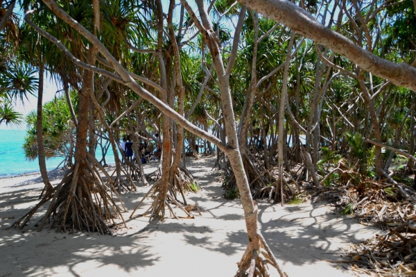 Zdjęcie z Vanuatu - Sciezka wokol wyspy Mystery Island