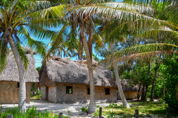 Zdjęcie z Vanuatu - Na Mystery Island