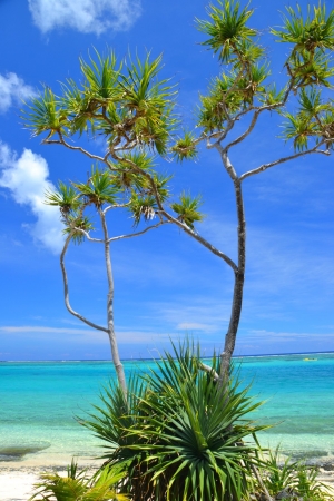 Zdjęcie z Vanuatu - Mystery Island