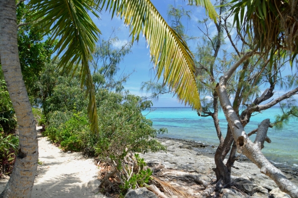 Zdjęcie z Vanuatu - Sciezka wokol wyspy Mystery Island