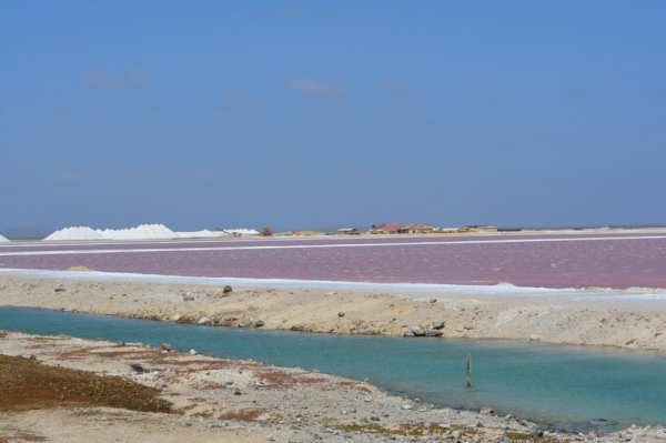 Zdjęcie z Bonaire - 