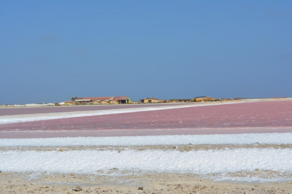 Zdjęcie z Bonaire - 