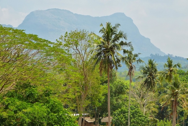 Zdjęcie ze Sri Lanki - Pinnawala