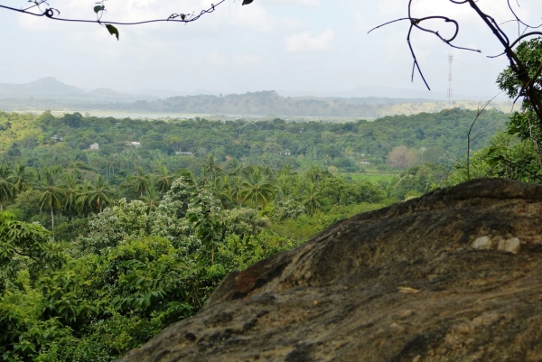 Zdjęcie ze Sri Lanki - widoki ze wzgórz Dambulli