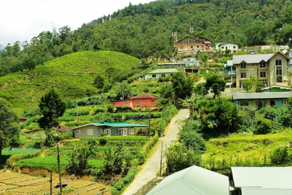 Zdjęcie ze Sri Lanki - Nuwara Eliya