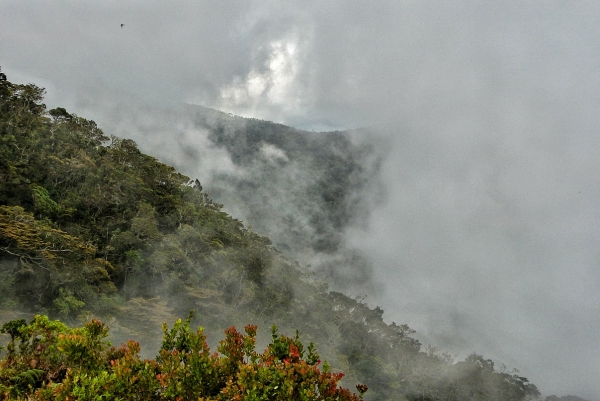 Zdjęcie ze Sri Lanki - chmuryyyy..... i mgłyyyy..... i tyle zobaczyliśmy :(