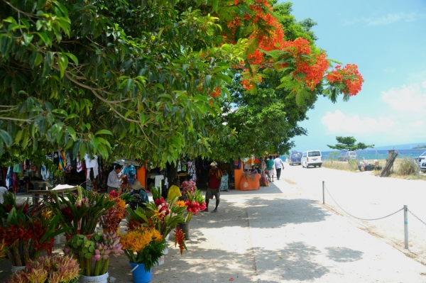 Zdjęcie z Vanuatu - Targ w centrum miasta