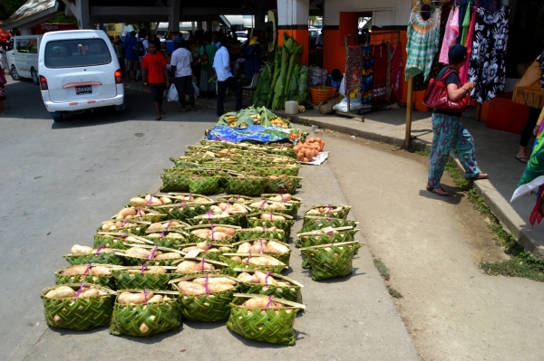 Zdjęcie z Vanuatu - Pataty - glowny produkt tamtejszych rolnikow