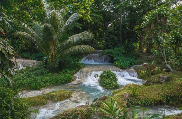 Zdjęcie z Vanuatu - W drodze do wodospadu Mele Cascades