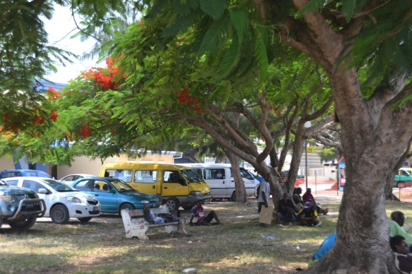 Zdjęcie z Vanuatu - Vanuatczycy oblegaja wszystkie zacienione miejsc