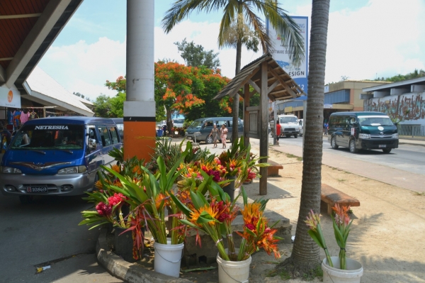 Zdjęcie z Vanuatu - Glowna ulica Port Vila