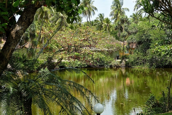 Zdjęcie ze Sri Lanki - spacer nad hotelowymi jeziorkami...