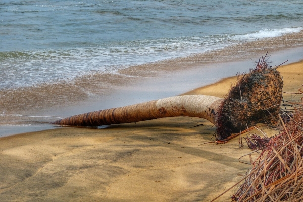 Zdjęcie ze Sri Lanki - scenki plażowe