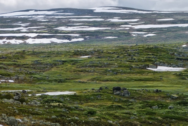 Zdjęcie z Norwegii - Płaskowyż Hardangervidda