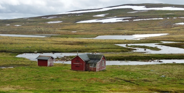 Zdjęcie z Norwegii - Hardangervidda