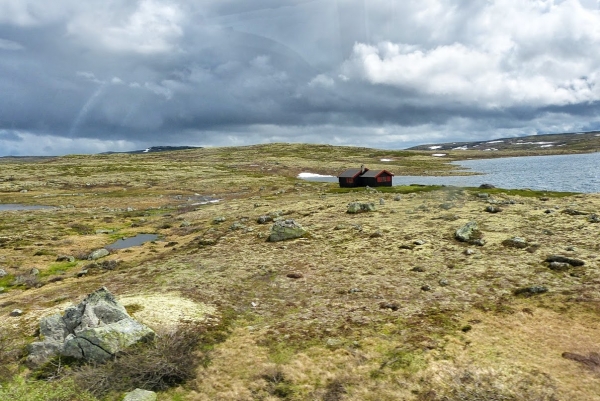 Zdjęcie z Norwegii - Hardangervidda