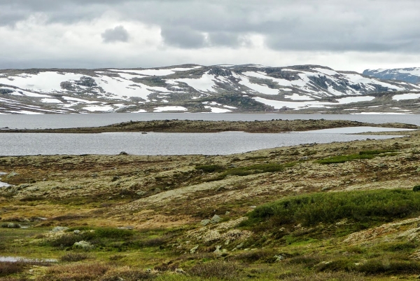 Zdjęcie z Norwegii - Hardangervidda