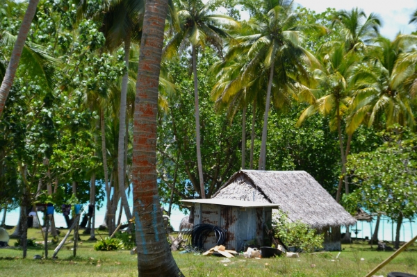 Zdjęcie z Vanuatu - Vanuacka wies