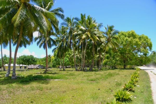 Zdjęcie z Vanuatu - Wiejska droga