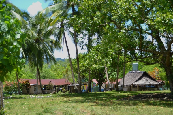 Zdjęcie z Vanuatu - Vanuackie gospodarstwo