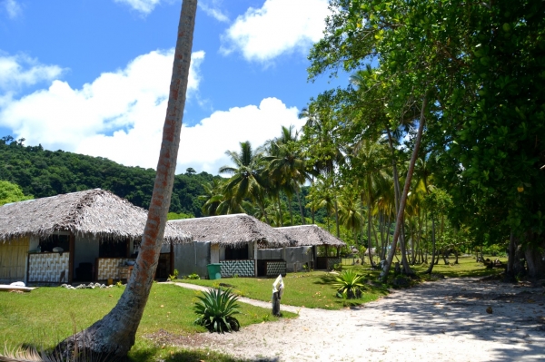 Zdjęcie z Vanuatu - Wiejskie klimaty